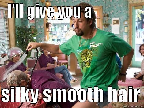 Silky Smooth - I'LL GIVE YOU A                 SILKY SMOOTH HAIR Misc