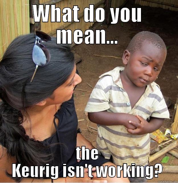 WHAT DO YOU MEAN... THE KEURIG ISN'T WORKING? Skeptical Third World Kid