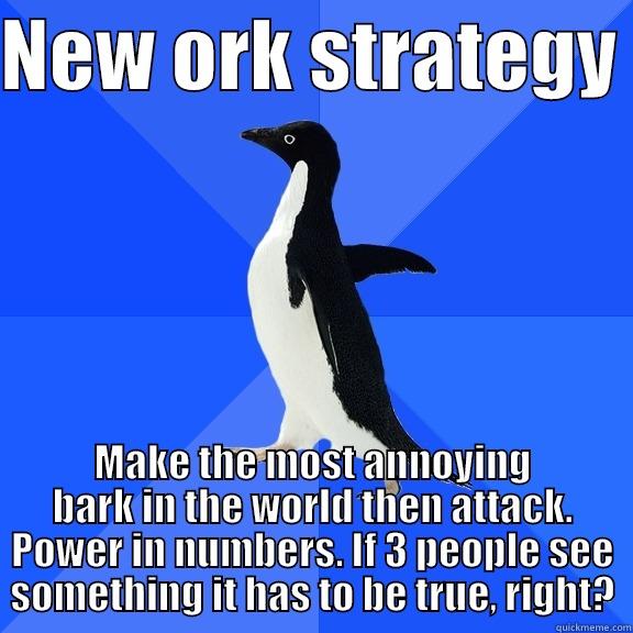 NEW ORK STRATEGY  MAKE THE MOST ANNOYING BARK IN THE WORLD THEN ATTACK. POWER IN NUMBERS. IF 3 PEOPLE SEE SOMETHING IT HAS TO BE TRUE, RIGHT? Socially Awkward Penguin