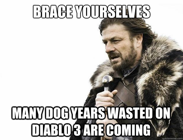 brace yourselves many dog years wasted on diablo 3 are coming - brace yourselves many dog years wasted on diablo 3 are coming  Misc