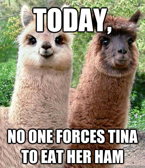 today, no one forces tina to eat her ham  Happy birthday Llama