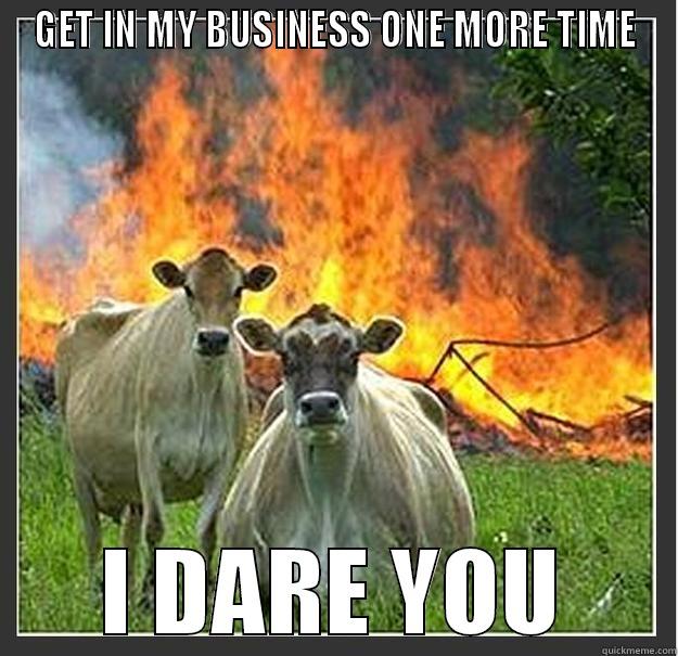 GET IN MY BUSINESS ONE MORE TIME I DARE YOU Evil cows