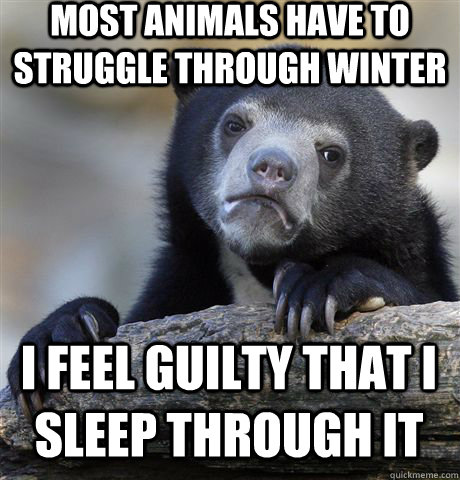 MOST ANIMALS HAVE TO STRUGGLE THROUGH WINTER I FEEL GUILTY THAT I SLEEP THROUGH IT  Confession Bear