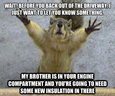 wait! Before you back out of the driveway, i just want to let you know something. My brother is in your engine compartment and you're going to need some new insulation in there  