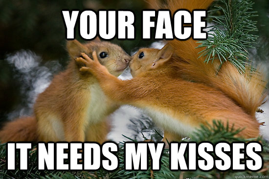 Your Face It needs my Kisses - Your Face It needs my Kisses  Squirrel Lovers