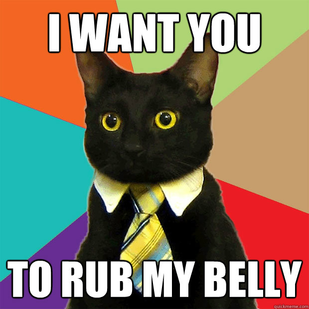 I want you to rub my belly - I want you to rub my belly  Business Cat