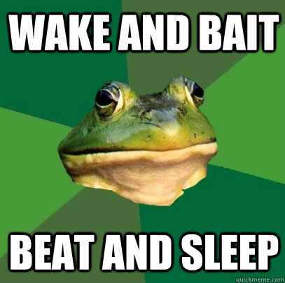 Wake and bait beat and sleep  Foul Bachelor Frog