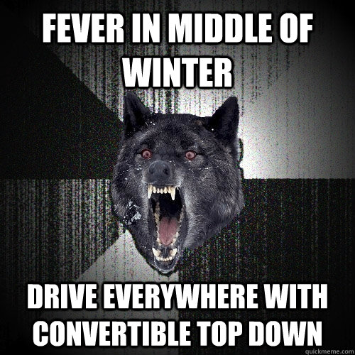 Fever in middle of winter Drive everywhere with convertible top down  Insanity Wolf