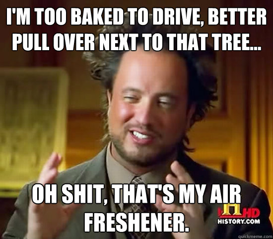 I'm too baked to drive, better pull over next to that tree... Oh shit, that's my air freshener. - I'm too baked to drive, better pull over next to that tree... Oh shit, that's my air freshener.  Ancient Aliens