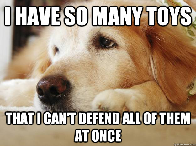 I have so many toys that I can't defend all of them at once  