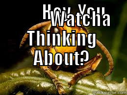             HEY, YOU                                    WATCHA THINKING ABOUT?                     Misc