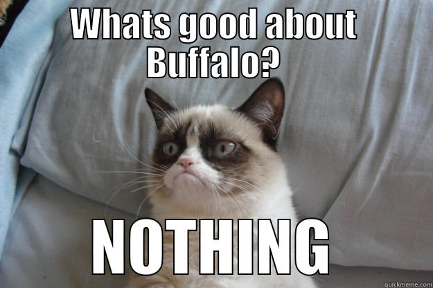 Omar vs Buffalo - WHATS GOOD ABOUT BUFFALO? NOTHING Grumpy Cat