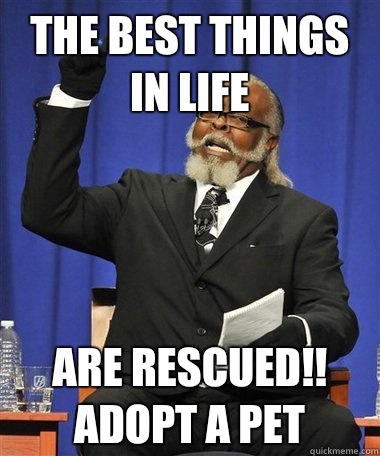 The best things in life Are rescued!! Adopt a pet  Rent Is Too Damn High Guy