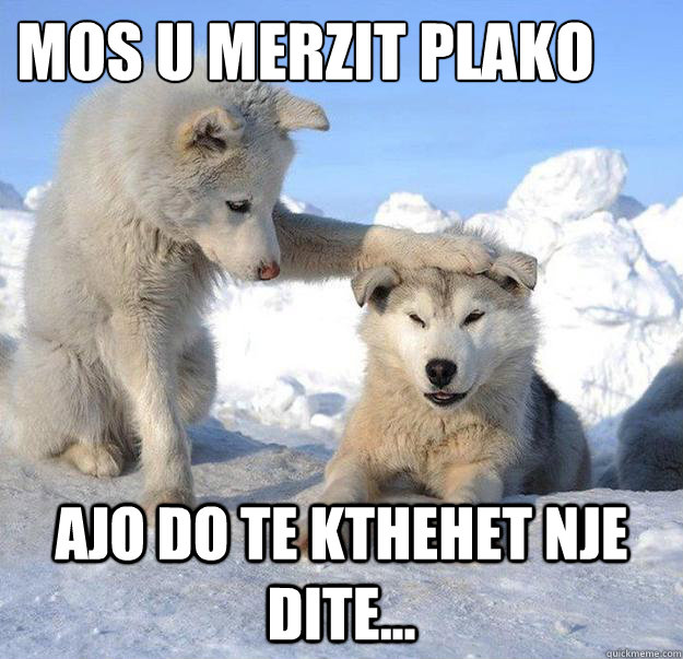 mos u merzit plako
 ajo do te kthehet nje dite...  Caring Husky
