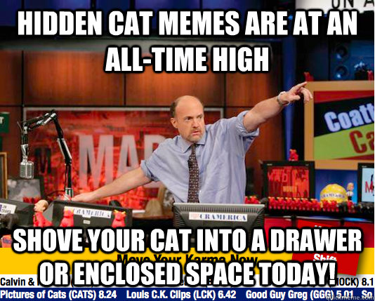 hidden cat memes are at an all-time high shove your cat into a drawer or enclosed space today! - hidden cat memes are at an all-time high shove your cat into a drawer or enclosed space today!  Mad Karma with Jim Cramer