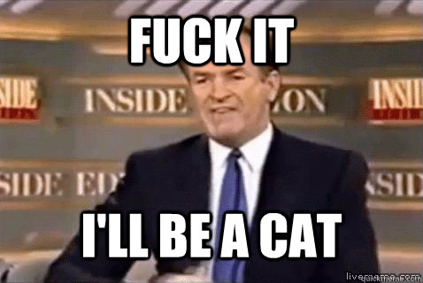 fuck it I'll be a cat - fuck it I'll be a cat  Bill Oreilly HD