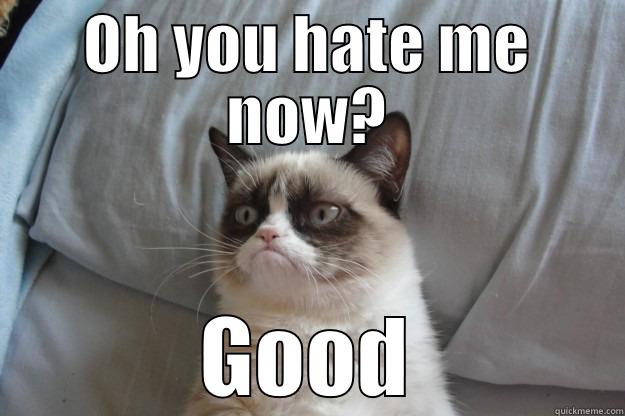 OH YOU HATE ME NOW? GOOD Grumpy Cat