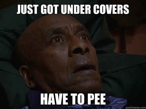 Just got under covers Have to pee  Bedtime Realizations