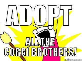 ADOPT ALL THE CORGI BROTHERS! All The Things