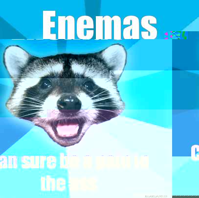 Enemas Can sure be a pain in the ass  Lame Pun Coon