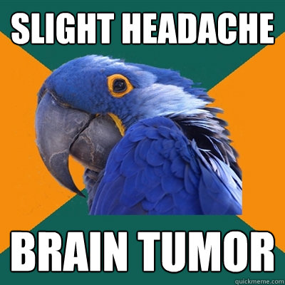 Slight Headache Brain Tumor  Paranoid Parrot