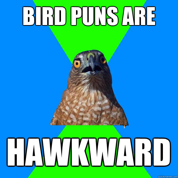 Bird puns are HAWKWARD  Hawkward