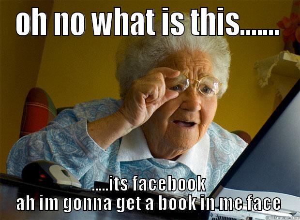 OH NO WHAT IS THIS....... .....ITS FACEBOOK AH IM GONNA GET A BOOK IN ME FACE Grandma finds the Internet