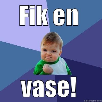 FIK EN VASE! Success Kid