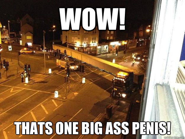 wow! thats one big ass penis!  Moms Dildo
