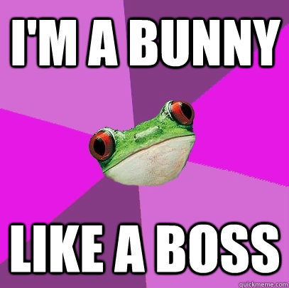 I'M a Bunny like a boss   Foul Bachelorette Frog
