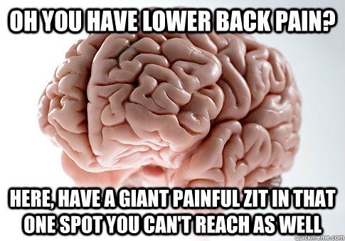 Oh you have lower back pain? Here, have a giant painful zit in that one spot you can't reach as well - Oh you have lower back pain? Here, have a giant painful zit in that one spot you can't reach as well  Scumbag Brain