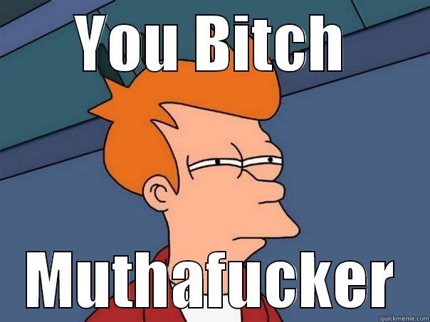 YOU BITCH MUTHAFUCKER Futurama Fry