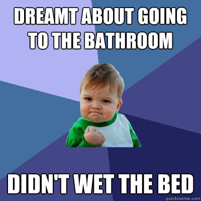 dreamt about going to the bathroom  didn't wet the bed   Success Kid