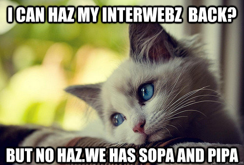 I can haz my interwebz  back? but no haz.we has sopa and pipa   First World Problems Cat