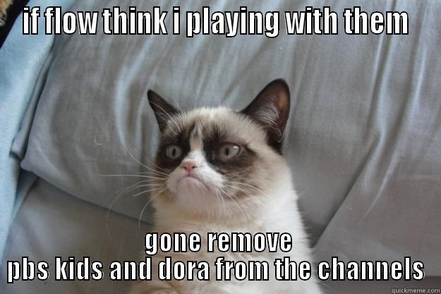 IF FLOW THINK I PLAYING WITH THEM  GONE REMOVE PBS KIDS AND DORA FROM THE CHANNELS  Grumpy Cat