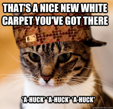 That's a nice new white carpet you've got there *a-huck* *a-huck* *a-huck*  Scumbag Cat