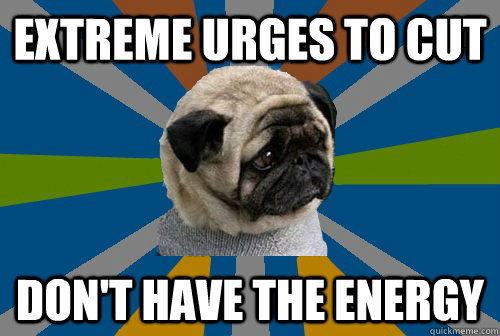 Extreme urges to cut Don't have the energy  Clinically Depressed Pug