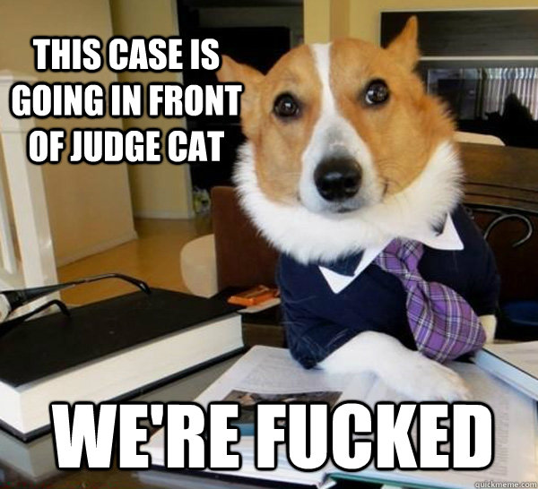 this case is going in front of Judge Cat we're fucked - this case is going in front of Judge Cat we're fucked  Lawyer Dog