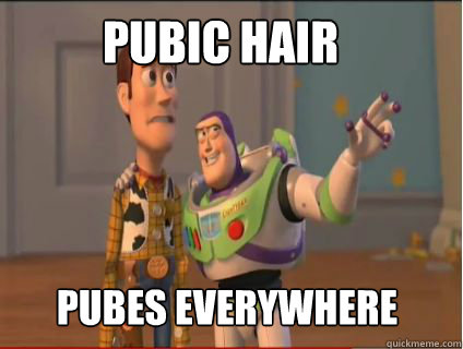 pubic hair pubes everywhere   woody and buzz