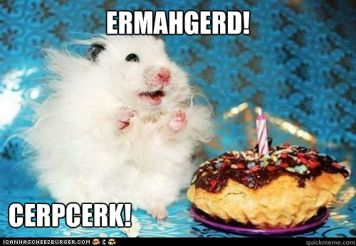ERMAHGERD! CERPCERK!  ermahgerd birthday hamster