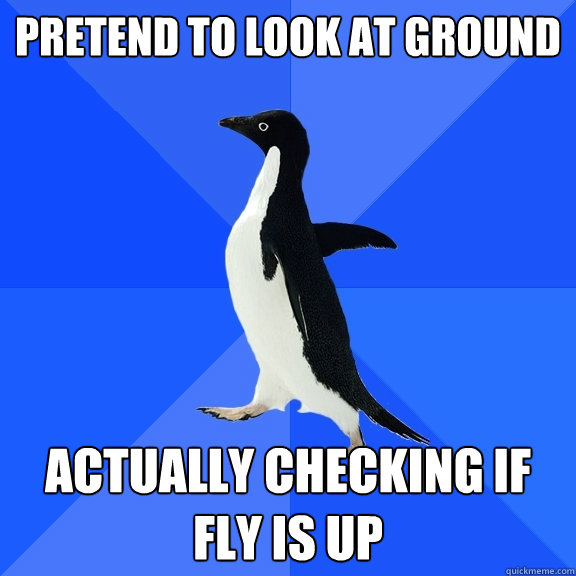 Pretend to look at ground  actually checking if fly is up  Socially Awkward Penguin