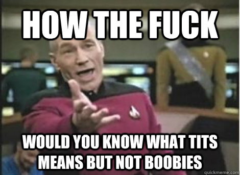 how the fuck Would you know what tits means but not boobies - how the fuck Would you know what tits means but not boobies  Misc