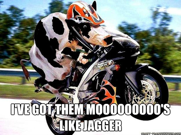 I've got them mooooooooo's like jagger  