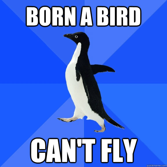 born a bird can't fly   Socially Awkward Penguin