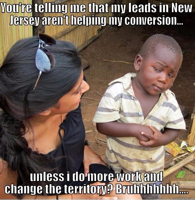 YOU'RE TELLING ME THAT MY LEADS IN NEW JERSEY AREN'T HELPING MY CONVERSION... UNLESS I DO MORE WORK AND CHANGE THE TERRITORY? BRUHHHHHHH.... Skeptical Third World Kid