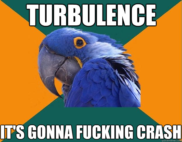 turbulence it's gonna fucking crash  Paranoid Parrot