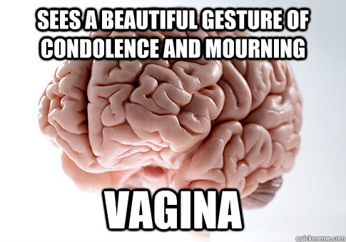 sees a beautiful gesture of condolence and mourning vagina  Scumbag Brain