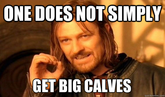 ONE DOES NOT SIMPLY GET BIG CALVES - ONE DOES NOT SIMPLY GET BIG CALVES  One Does Not Simply