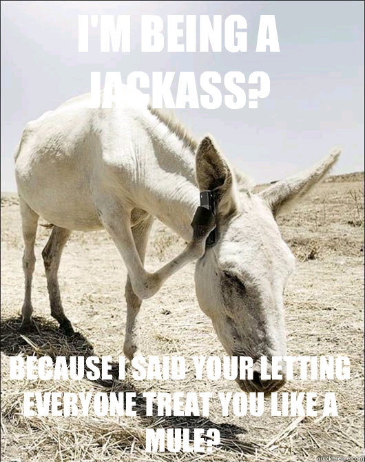 I'm being a Jackass?  Because I said your letting everyone treat you like a mule? - I'm being a Jackass?  Because I said your letting everyone treat you like a mule?  In Call Donkey