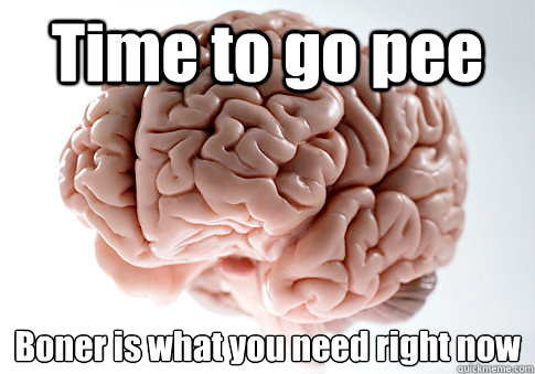 Time to go pee Boner is what you need right now  Scumbag Brain